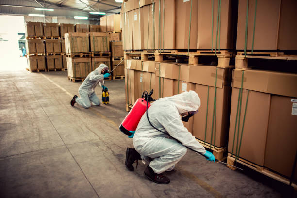 Best Wasp Removal Services  in Frazeysburg, OH