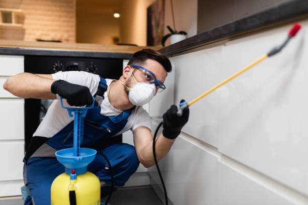 Best Termite Control Services  in Frazeysburg, OH