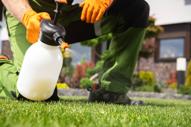 Professional Pest Control in Frazeysburg, OH