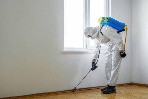 Best Pest Prevention Services  in Frazeysburg, OH