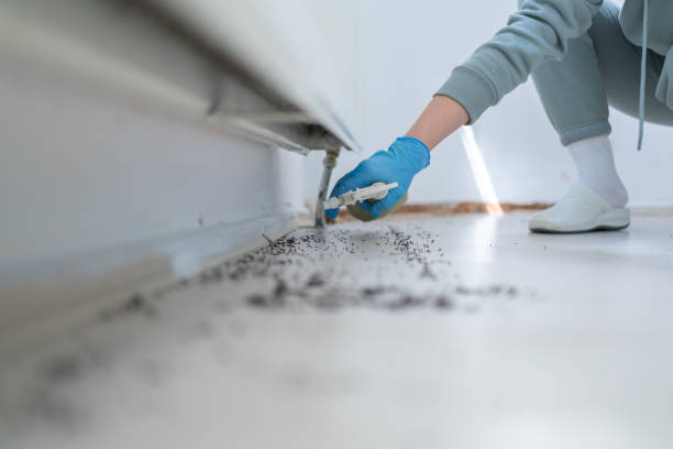 Best Best Pest Control Companies  in Frazeysburg, OH